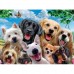 Puzzle pièces xxl - delighted dogs  Ravensburger    500000